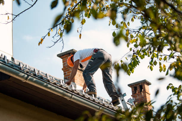 Best Roof Gutter Cleaning  in Pearl River, MS