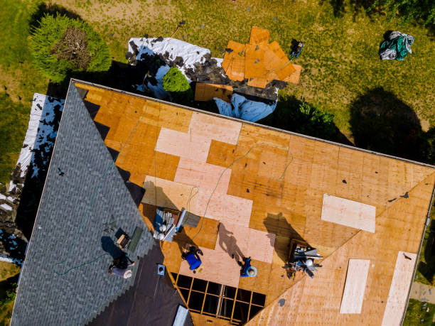 Best Roof Repair Services  in Pearl River, MS